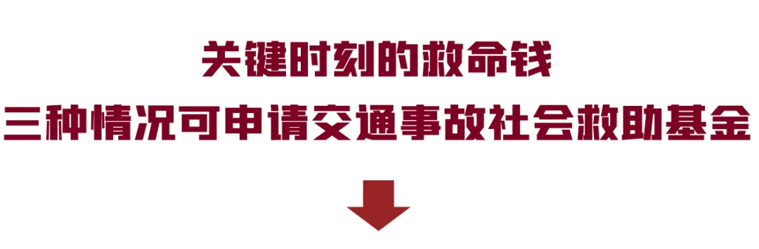 乐陵一流浪人员被撞伤,道路交通事故社会救助基金先帮忙|德州云-德州