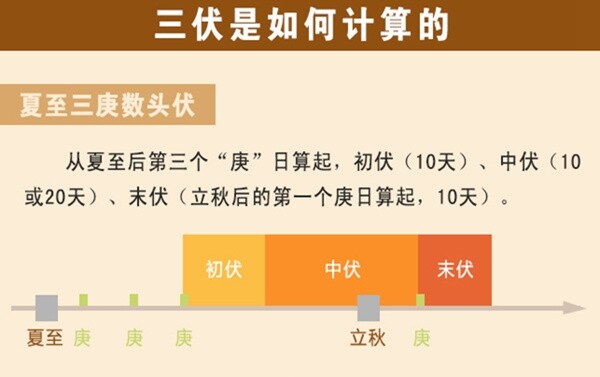 40天"豪华版"三伏今日上线!|德州云-德州晚报全媒体
