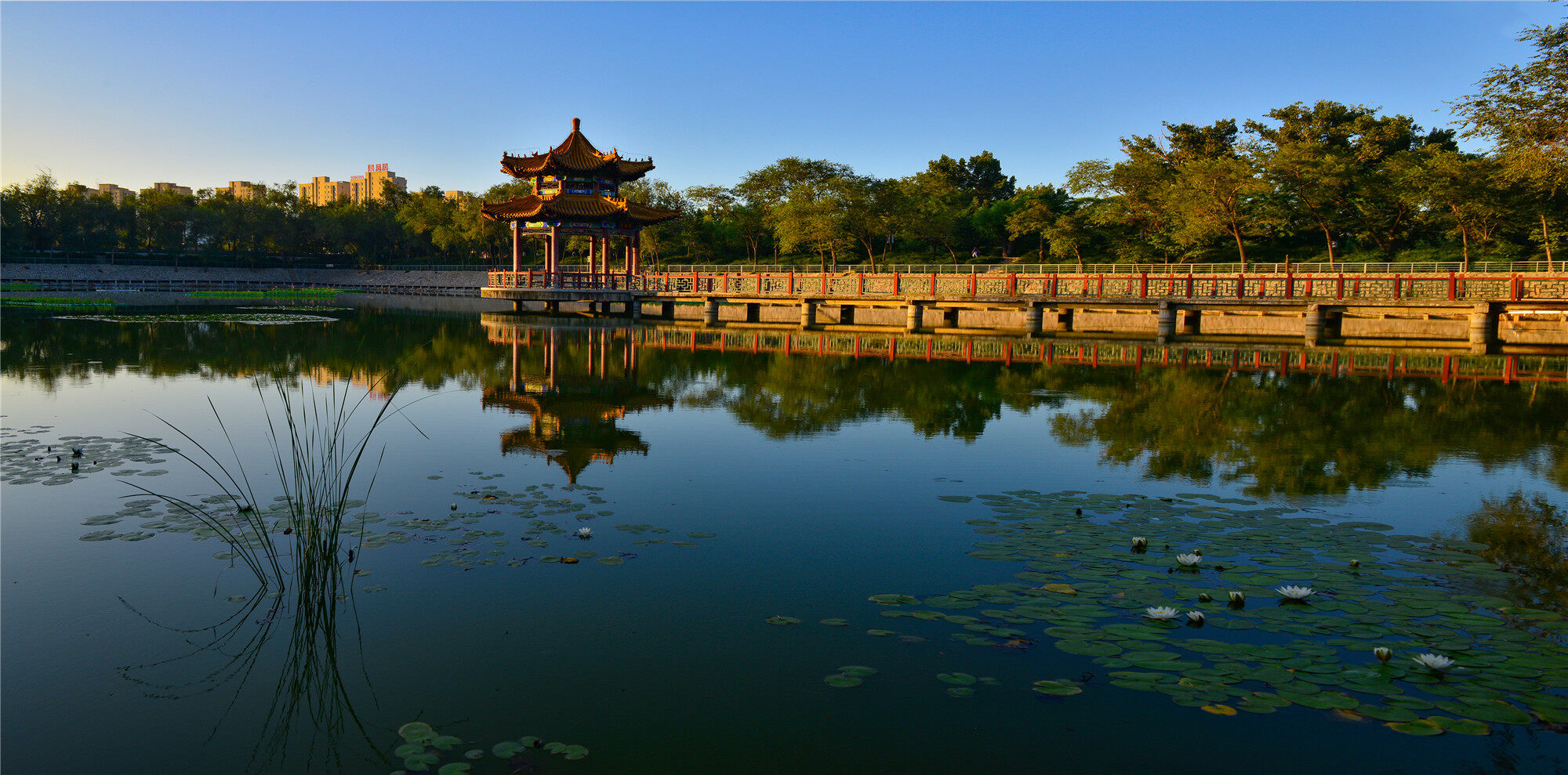 80余张高清大图来了!镜头定格 运河之美|德州云-德州晚报全媒体