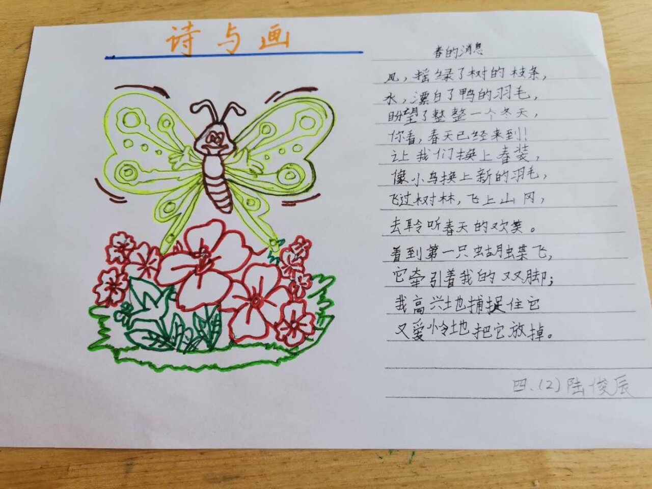 陆俊辰.jpg