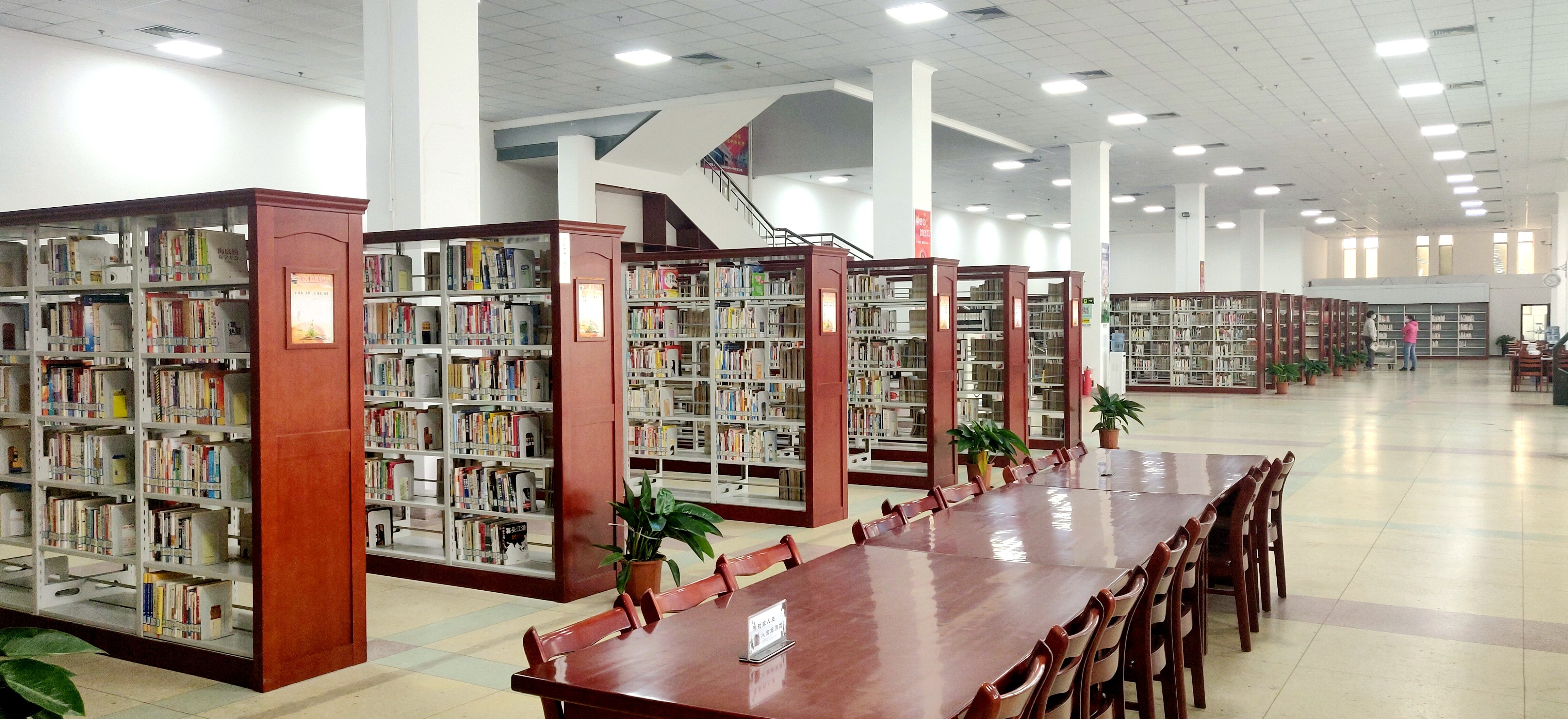 德州市图书馆有序恢复开放