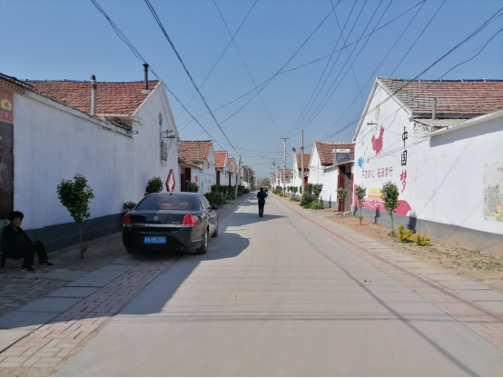 陵城区糜镇吴龙村:美丽乡村入画来|德州云-德州晚报全媒体