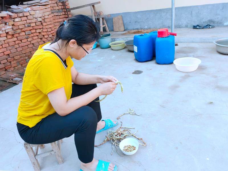 贫困大学生董艳梅:妈妈深受重病折磨,她励志学医|德州云-德州晚报全