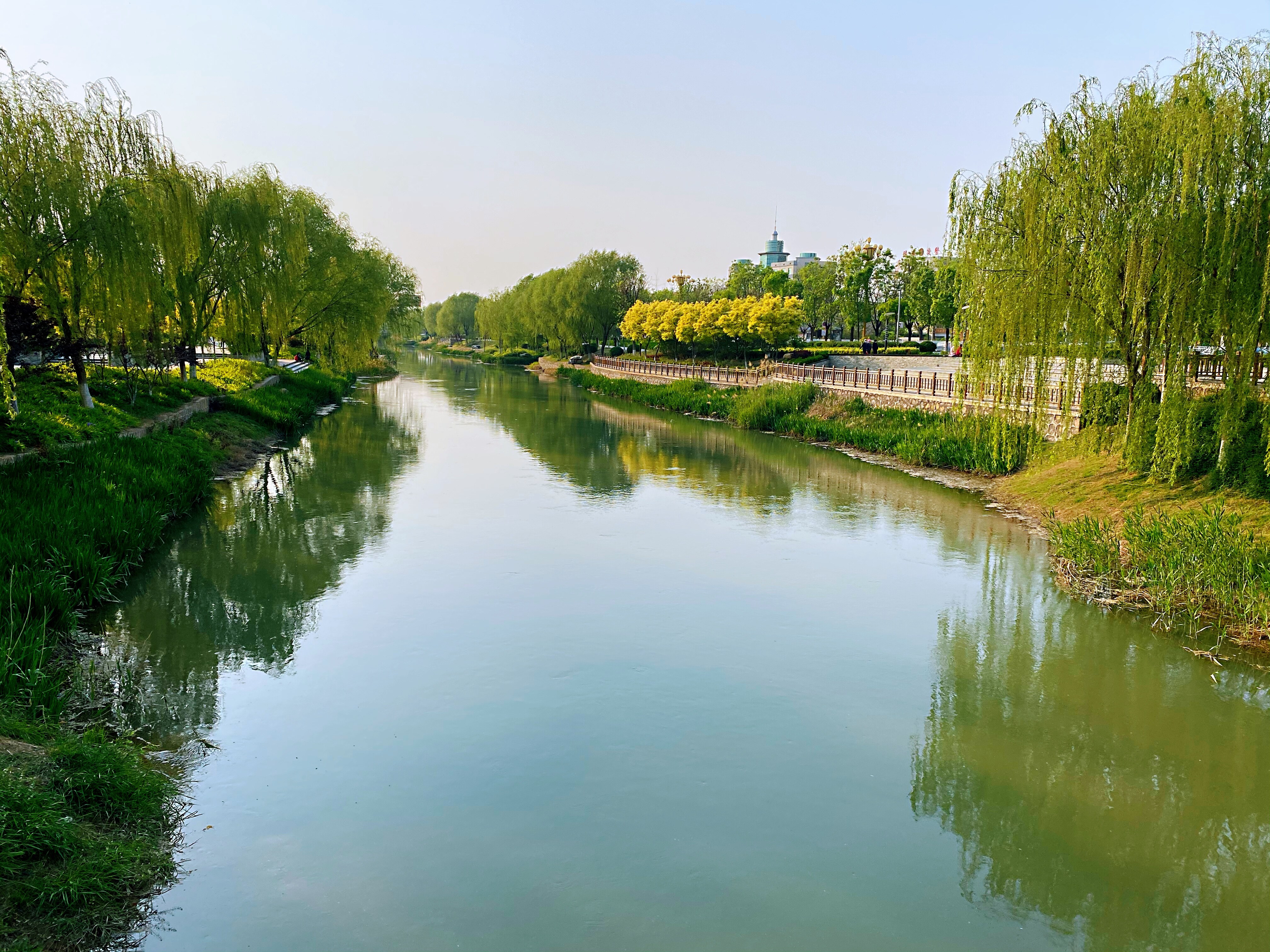 陵城区积极创建省级美丽示范河湖|德州云-德州晚报全媒体