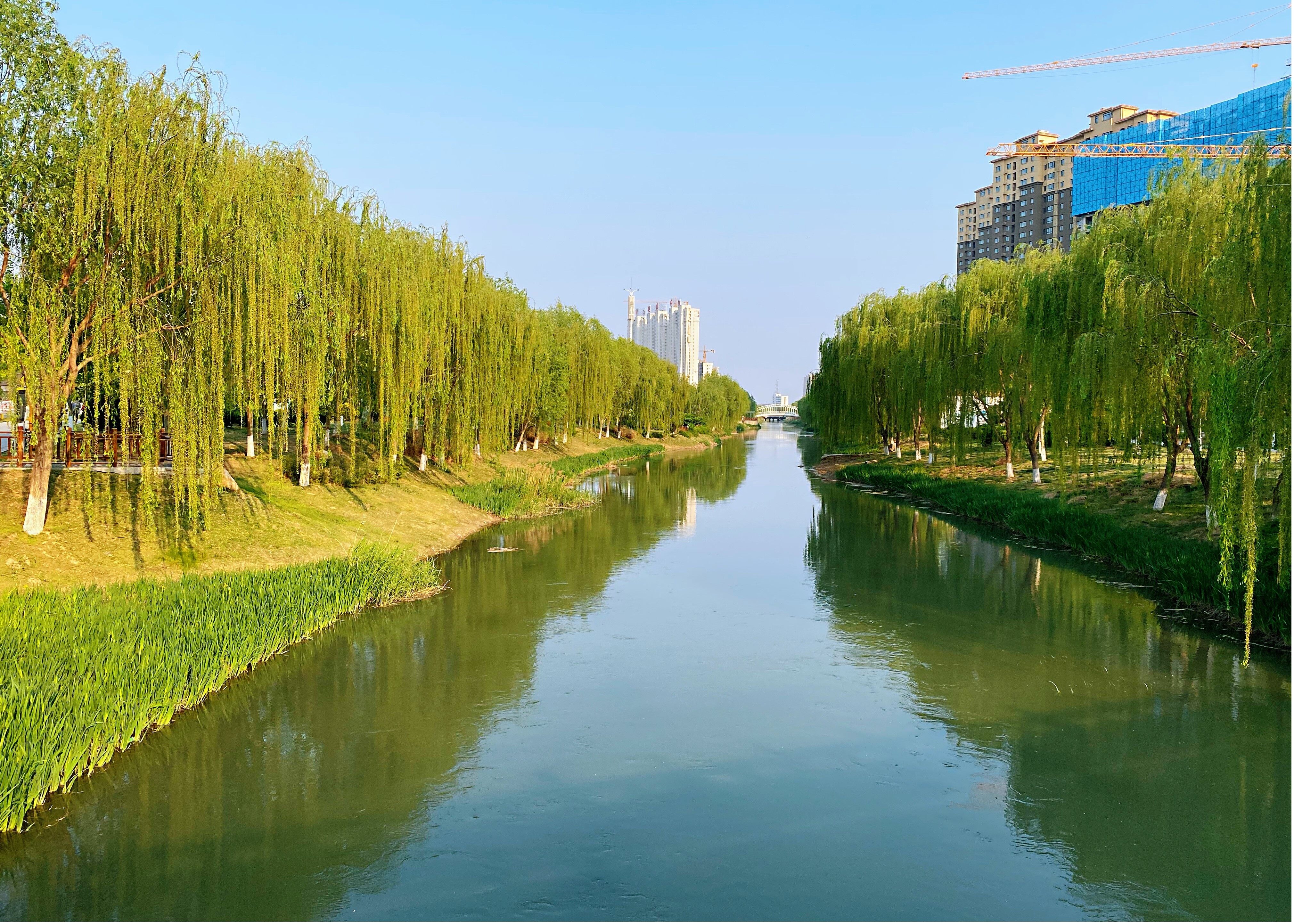 陵城区积极创建省级美丽示范河湖|德州云-德州晚报全媒体