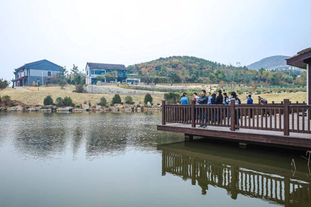 欣赏羊亭镇贝草夼美景