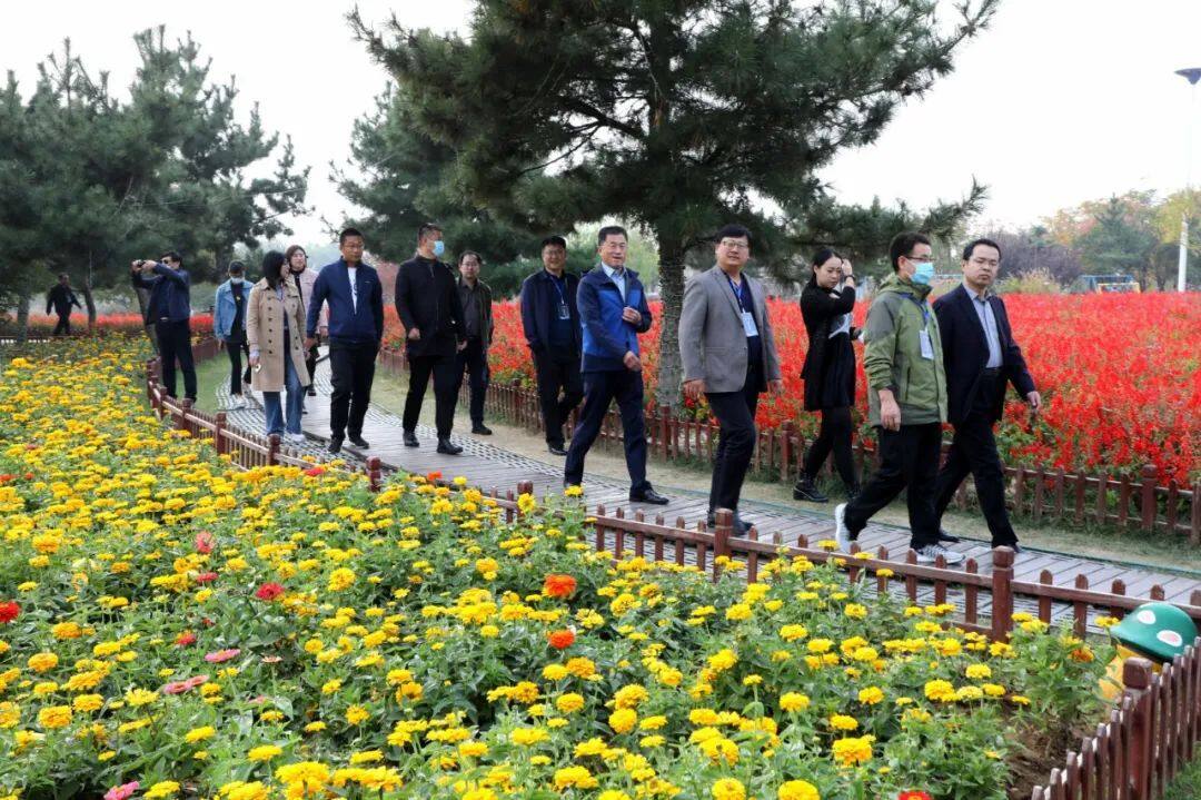 漫步羊亭河湿地公园