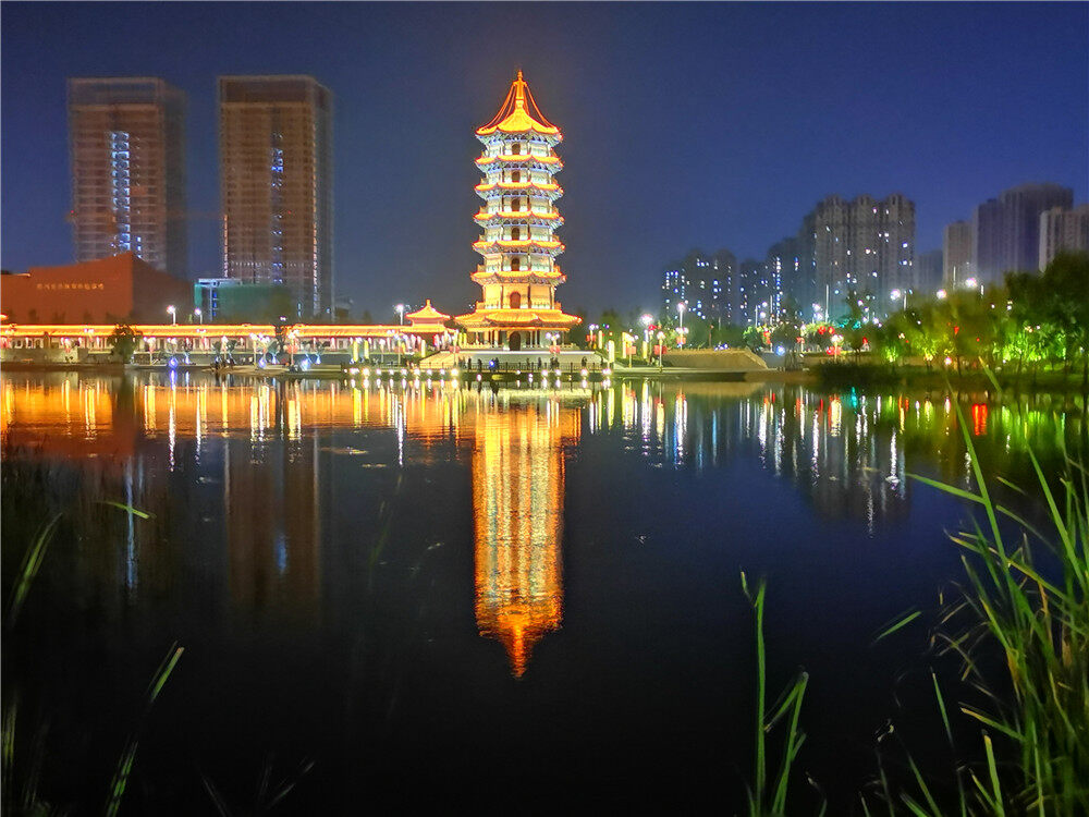 参赛作品选登(6)——"老德州杯"鸟语花香 生态德州摄影,短视频大赛