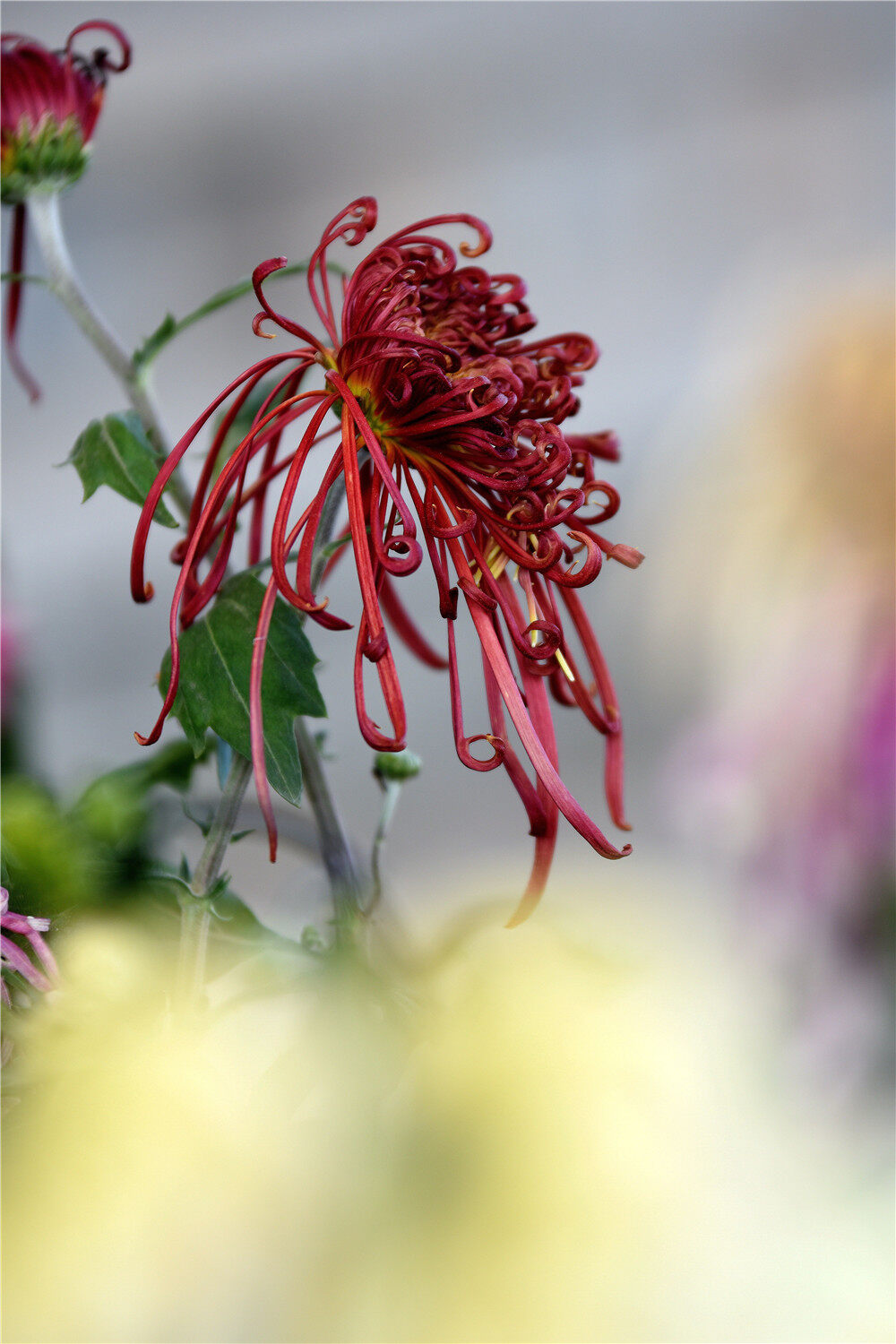 1000_1500竖版 竖屏