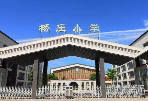杨庄小学上榜山东省乡村温馨校园建设优秀案例学校名单德州云德州晚报