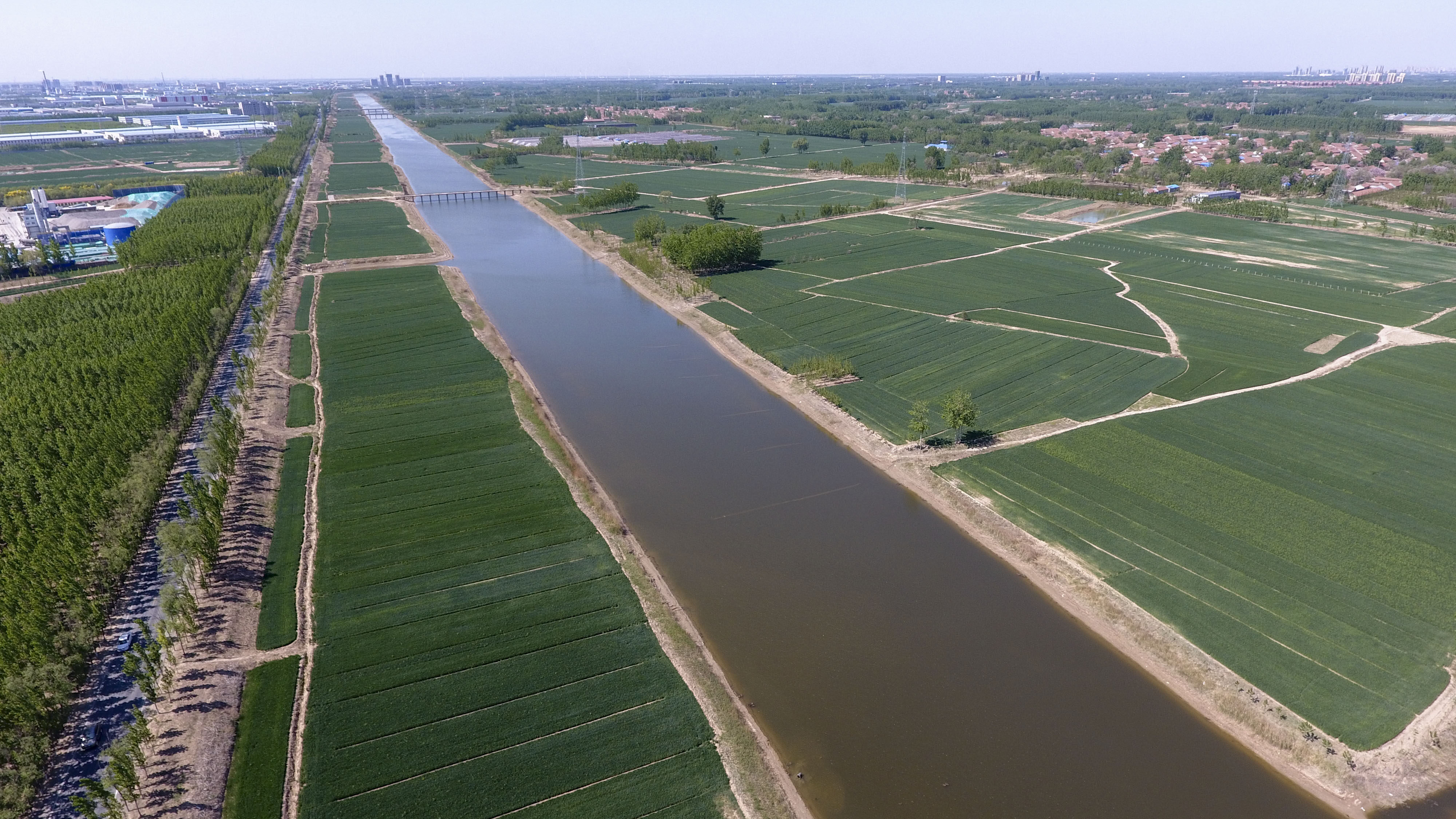 治理后的马颊河