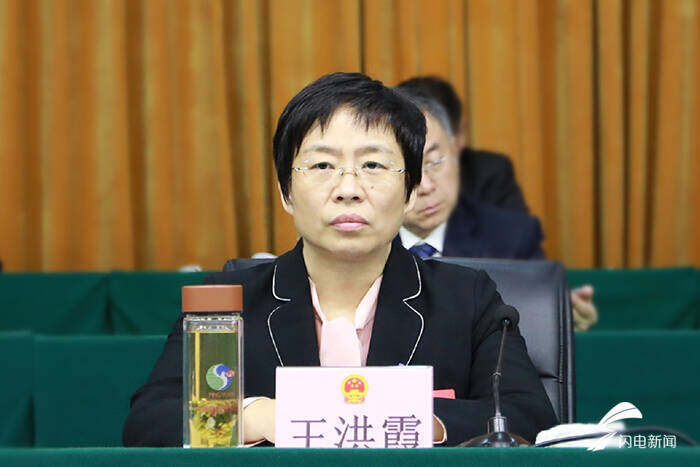 王玉东当选平原县人民政府县长|德州云-德州晚报全媒体