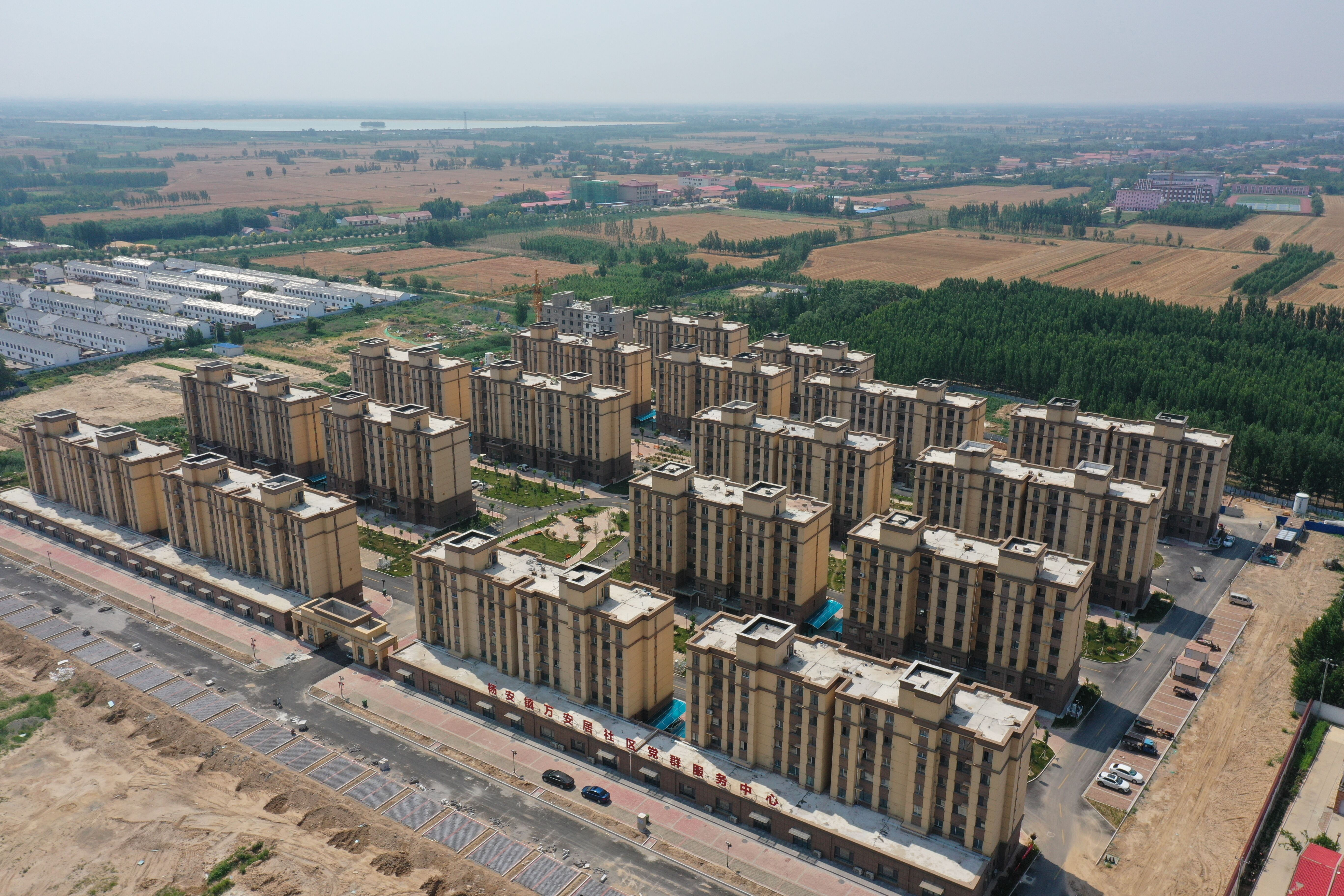 乐陵市杨安镇:中国味道,从这里出发|德州云-德州晚报全媒体