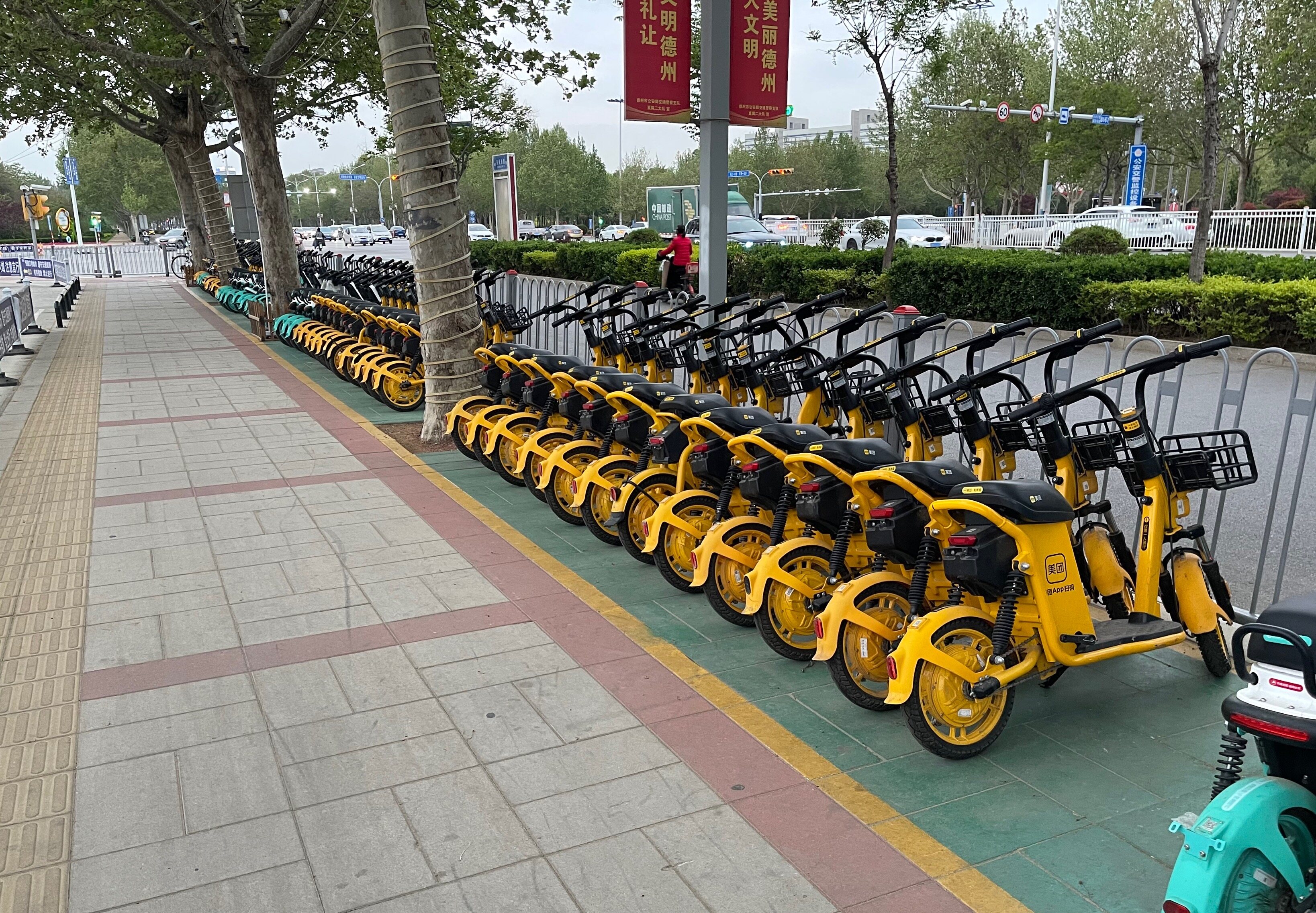 城市文明"归位" 街头共享单车整齐摆放成景观|德州云-德州晚报全媒体