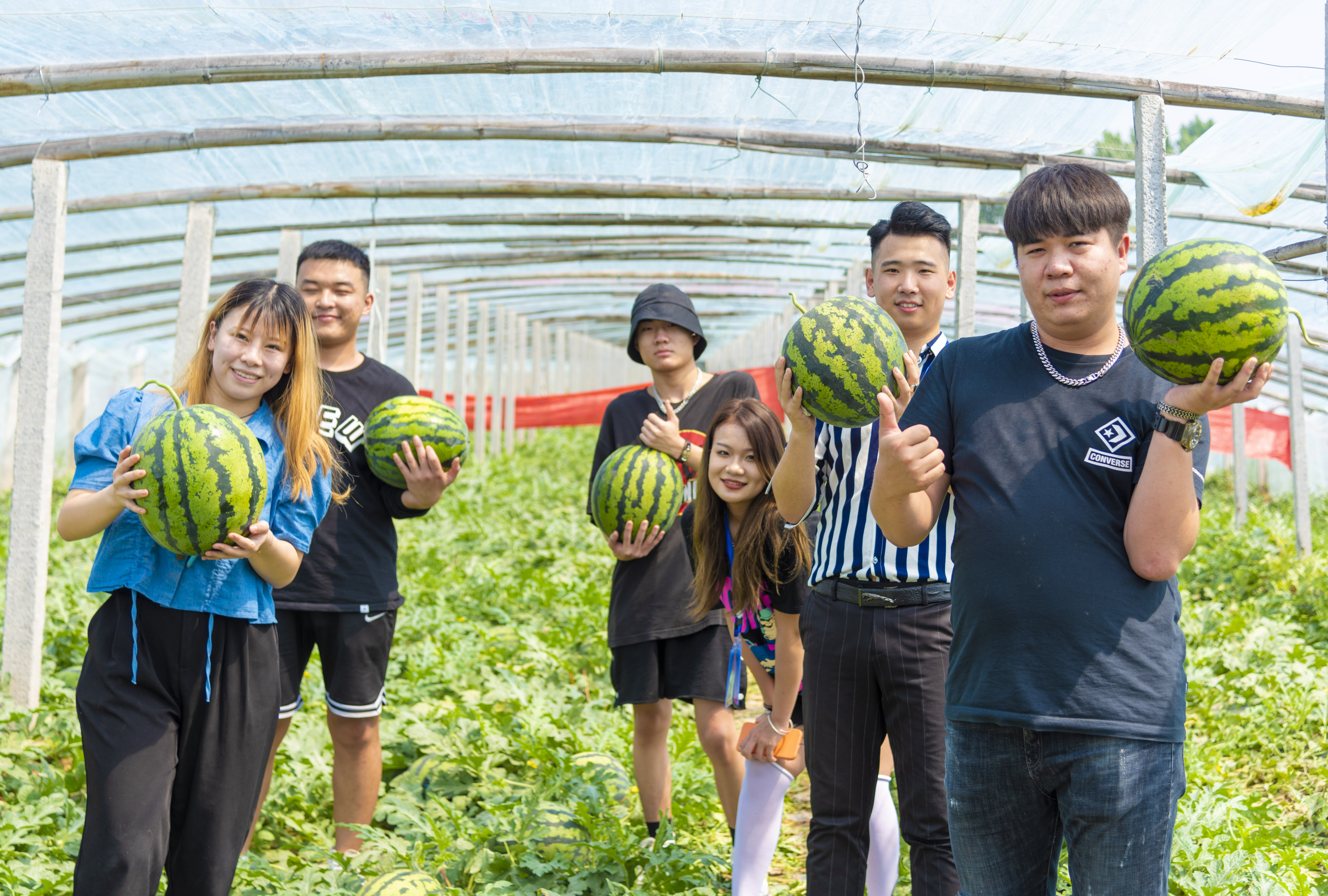 走,当吃瓜群众去!2021年德州西瓜采摘节开幕|德州云-德州晚报全媒体