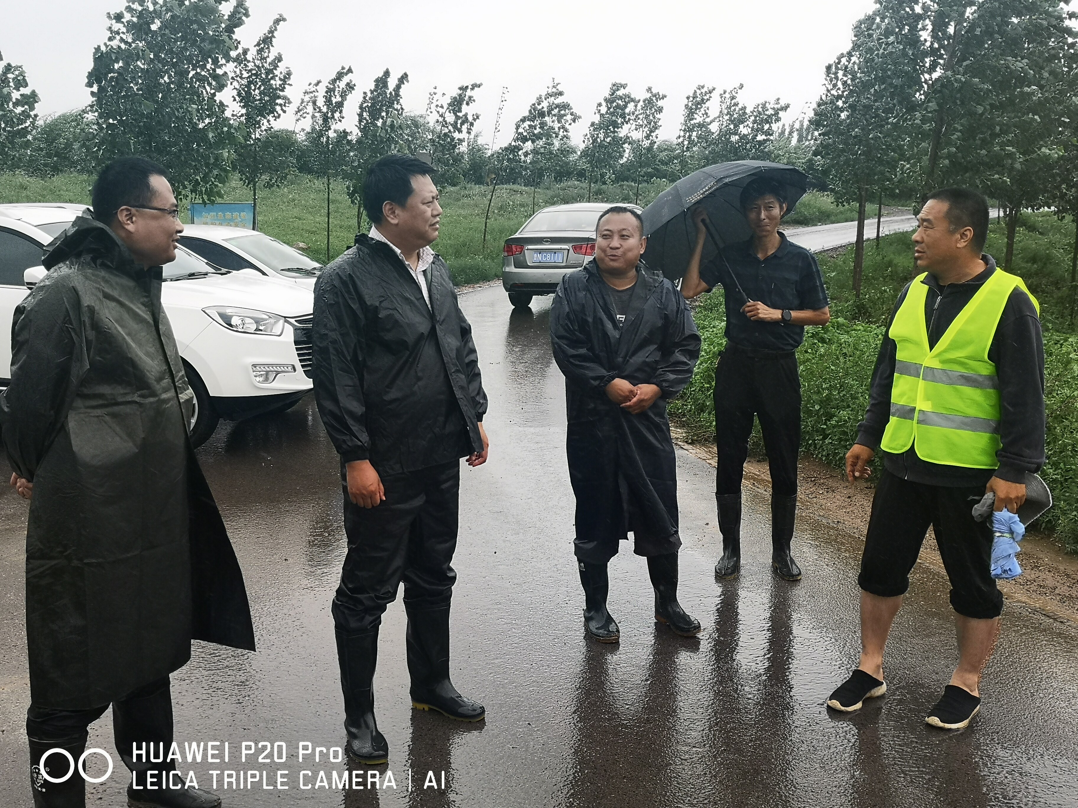 多条河流水位持续上涨,德城区黄河涯镇全力做好各项防汛工作|德州云