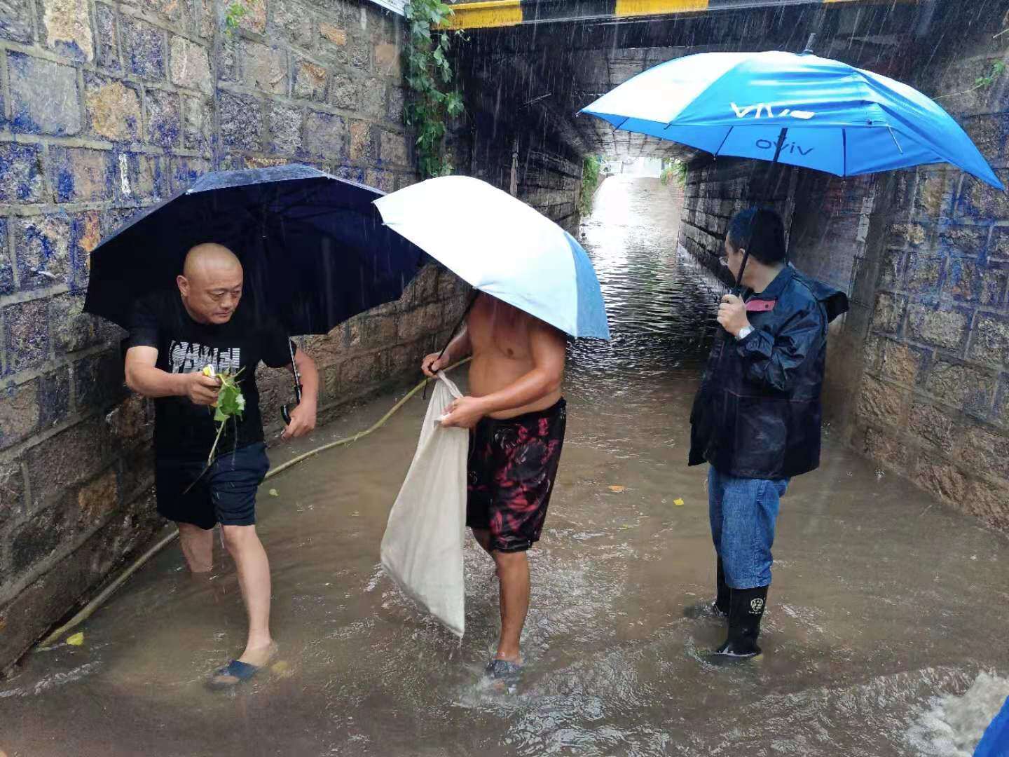 多条河流水位持续上涨,德城区黄河涯镇全力做好各项防汛工作|德州云