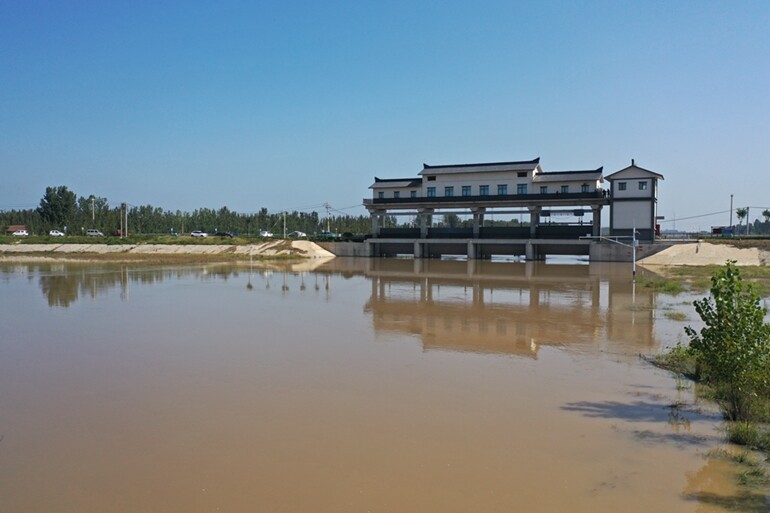 马颊河马才闸行洪现场