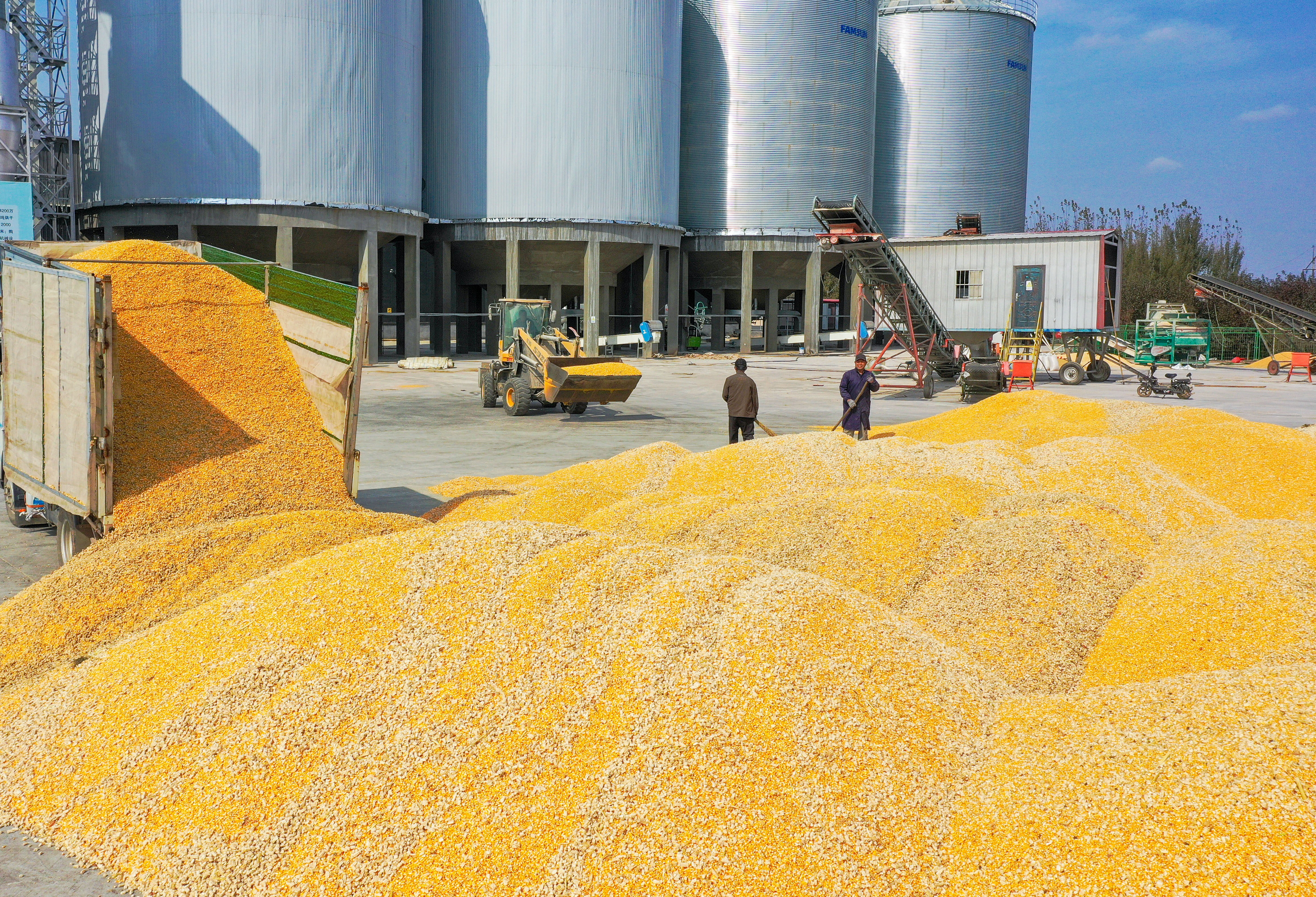 记者在现场农户玉米烘干从进到出预计十多个小时德州云德州晚报全媒体