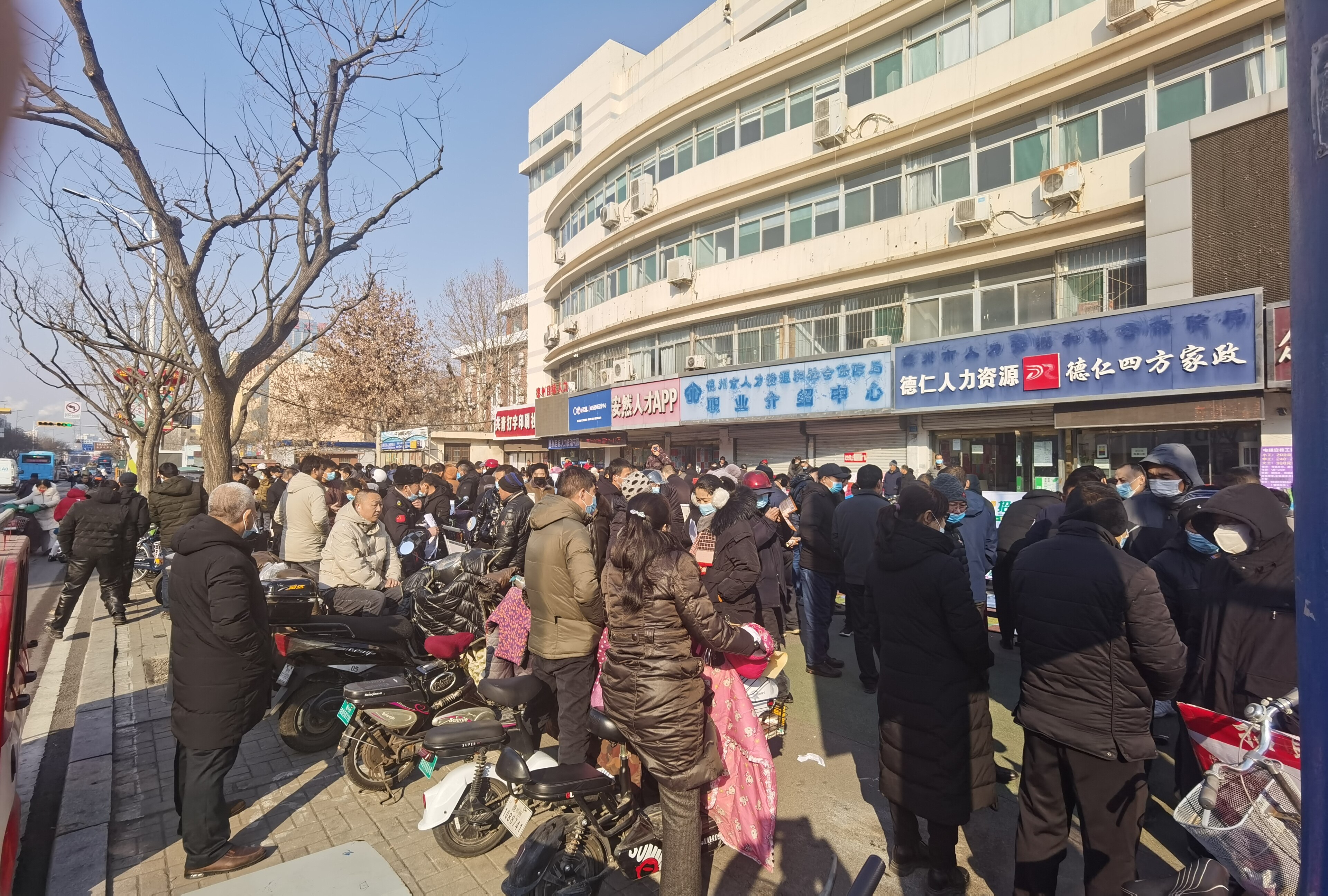 67人勤春来早节后招聘忙德州劳务市场迎来求职高峰服务业仍占主角