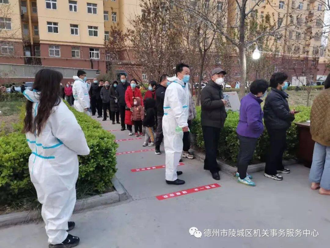 陵城区机关事务服务中心快速安全有序推进全员核酸检测德州云德州晚报