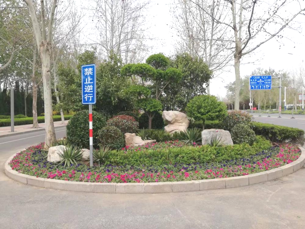 市城管局园林绿化服务中心利用假期开展路口节点提升|德州云-德州晚报
