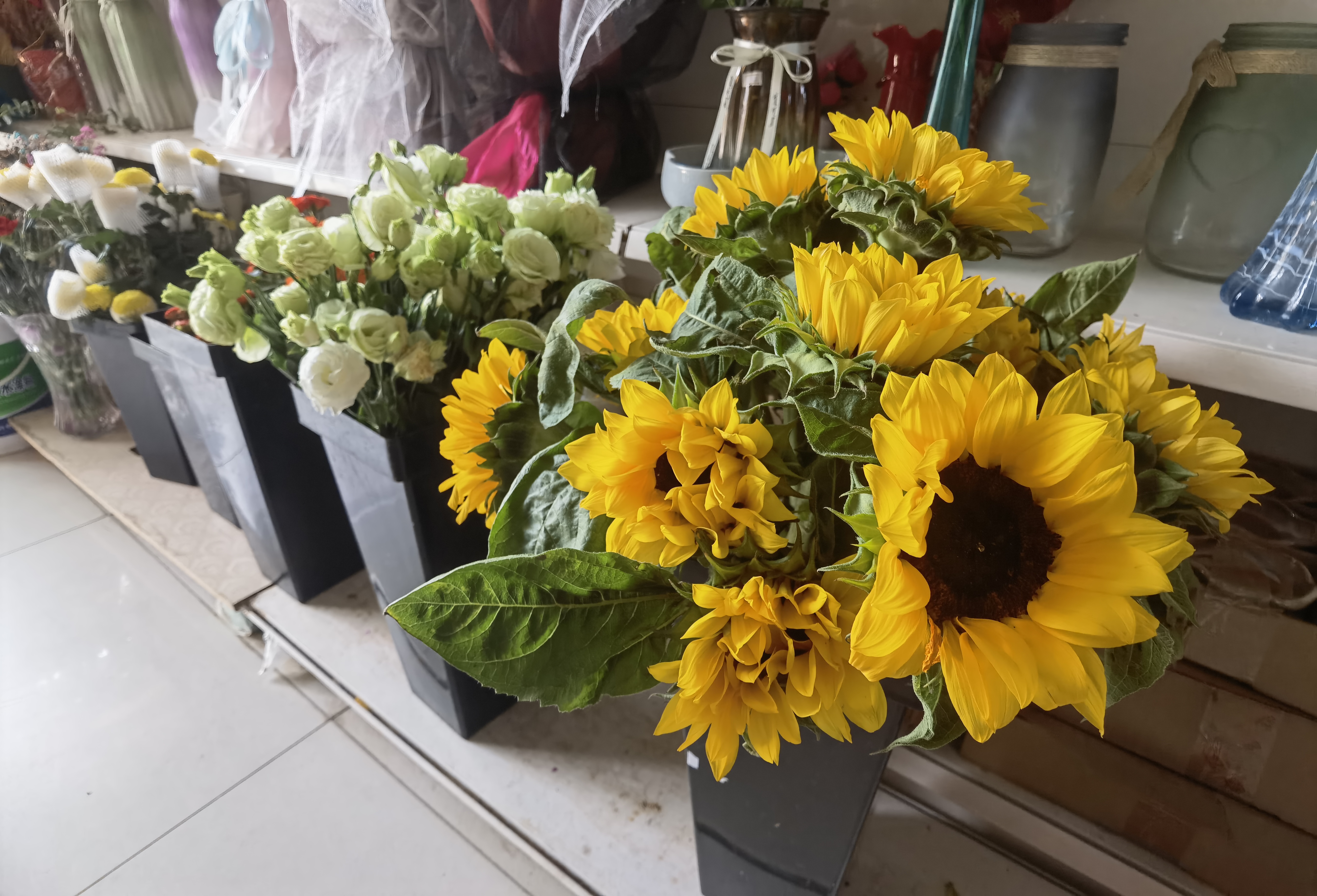 高考季一举夺魁美好寓意让向日葵成花店销量担当德州云德州晚报全媒体