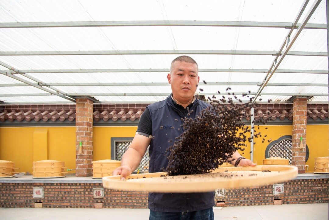 我的中医故事九蒸九晒炮制技艺传承人孙林做药如做人采办务真修制务精