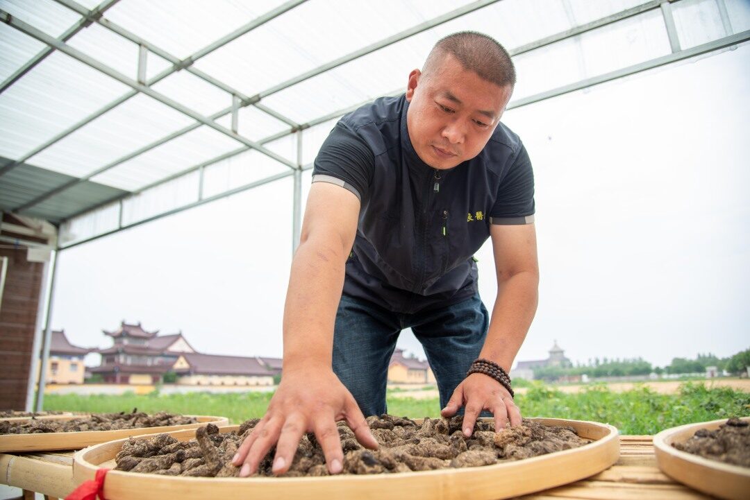 我的中医故事九蒸九晒炮制技艺传承人孙林做药如做人采办务真修制务精