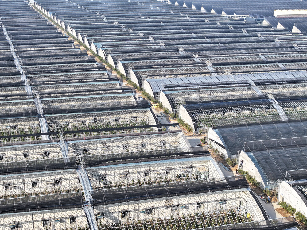 016 茌平区小刘新村现代生态循环农业示范园区    摄影崔忠伟.jpg