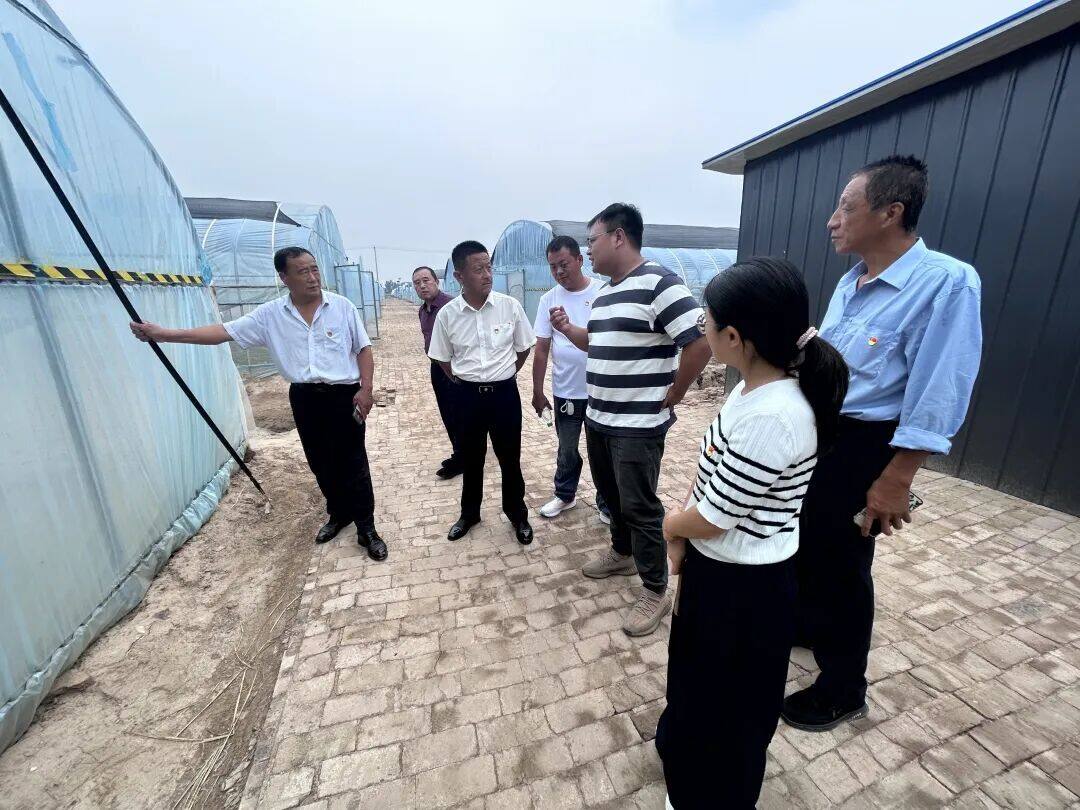 考察大棚.jpg