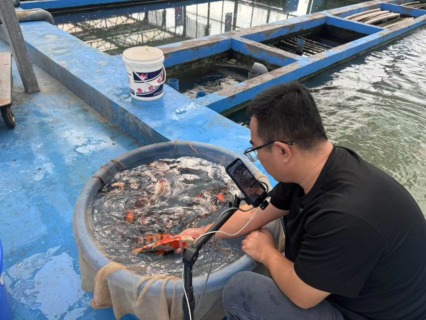 2d7edba6be4c656e18c253aca1f3994.jpg