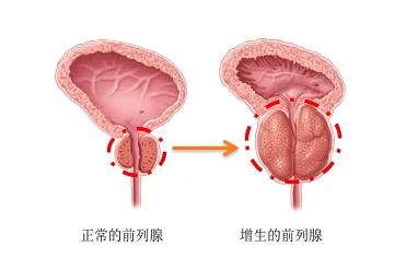 0f44dfea533ce38c13187e75ae7a46d6.png
